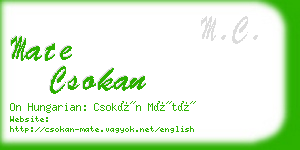 mate csokan business card